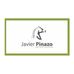 Javier Pinazo Sanz