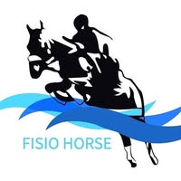 Fisio Horse