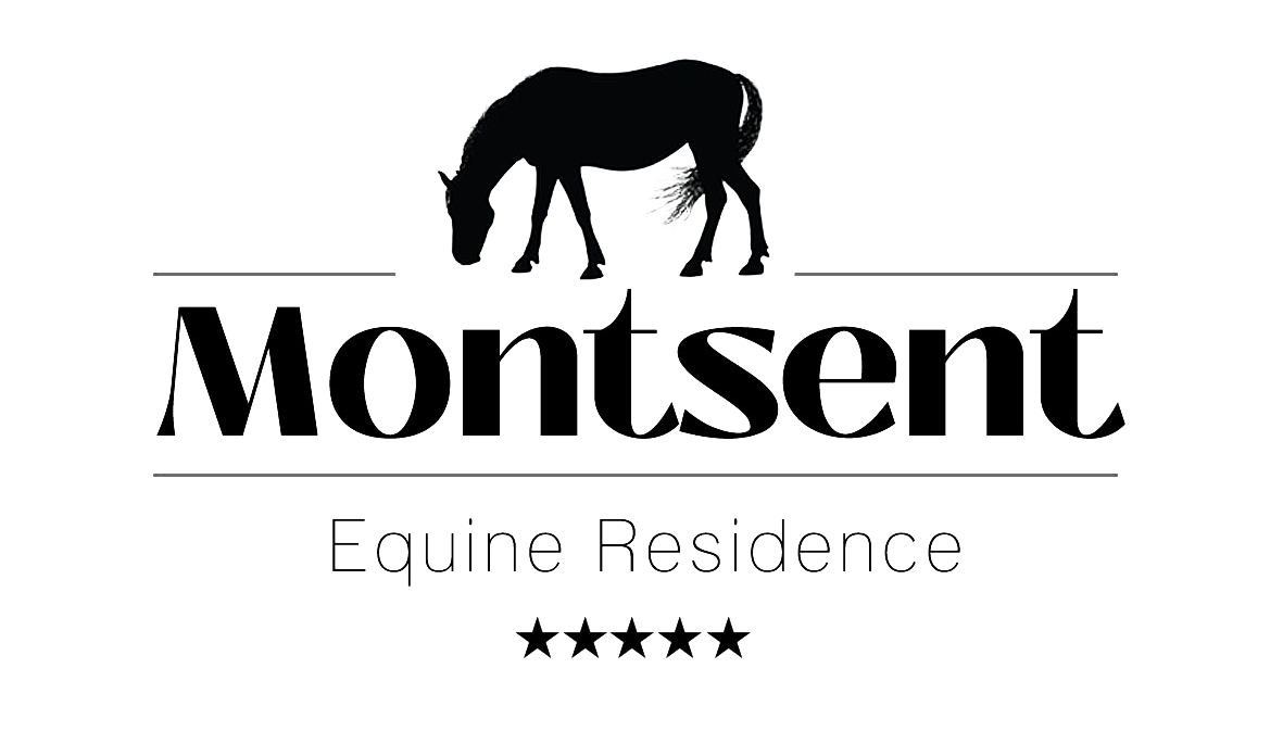 Residencia equina Monsent