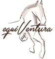 Equiventura