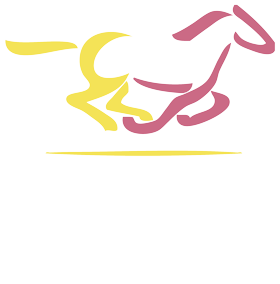 Centro de Medicina Deportiva Equina (CEMEDE)