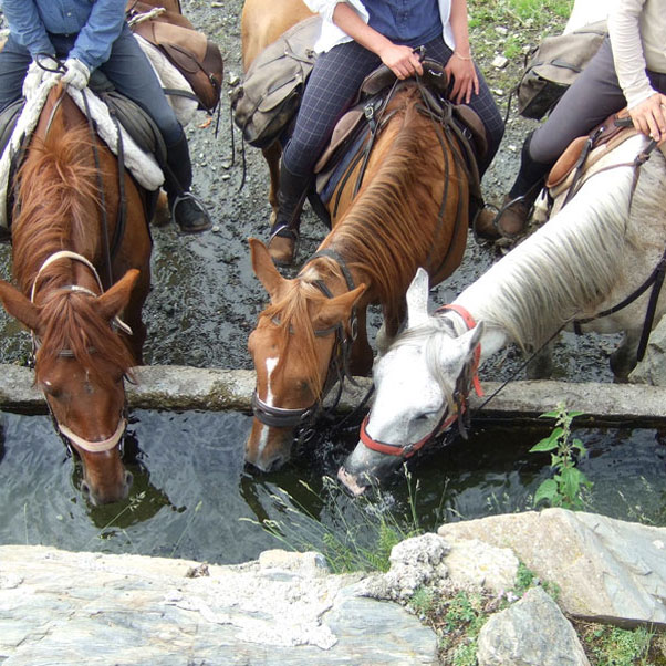 Catalonia Horse Trails
