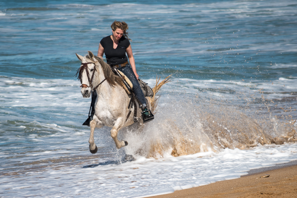 Centro Hipico Zahora