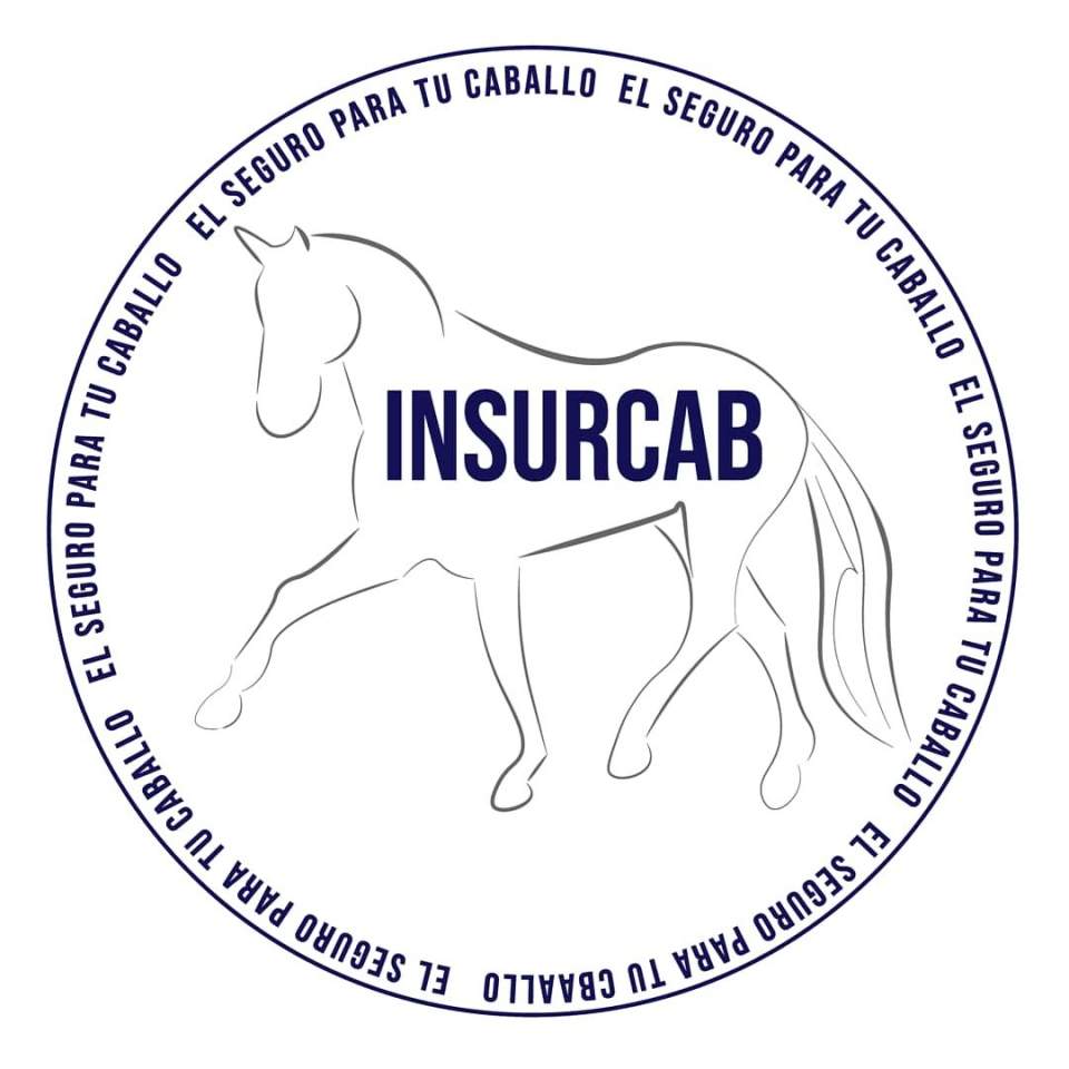 Insurcab Seguros
