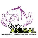 Quiroanimal