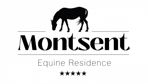 Residencia equina Monsent