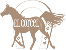 El Corcel