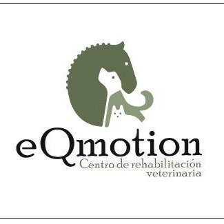 eQmotion