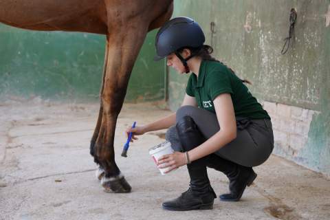 Centro de Estudios Ecuestres Torredembarra