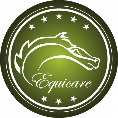 Hotel-Spa para Caballos Equicare