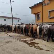 Rutas a Caballo Cobrana