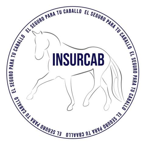 Insurcab Seguros
