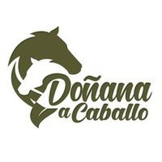 Doñana a caballo