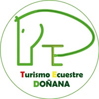 Turismo Ecuestre Doñana