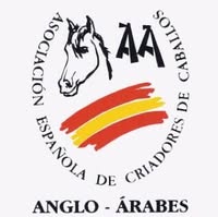 AECCAa - Asociacion Española de criadores de caballos Anglo-arabes