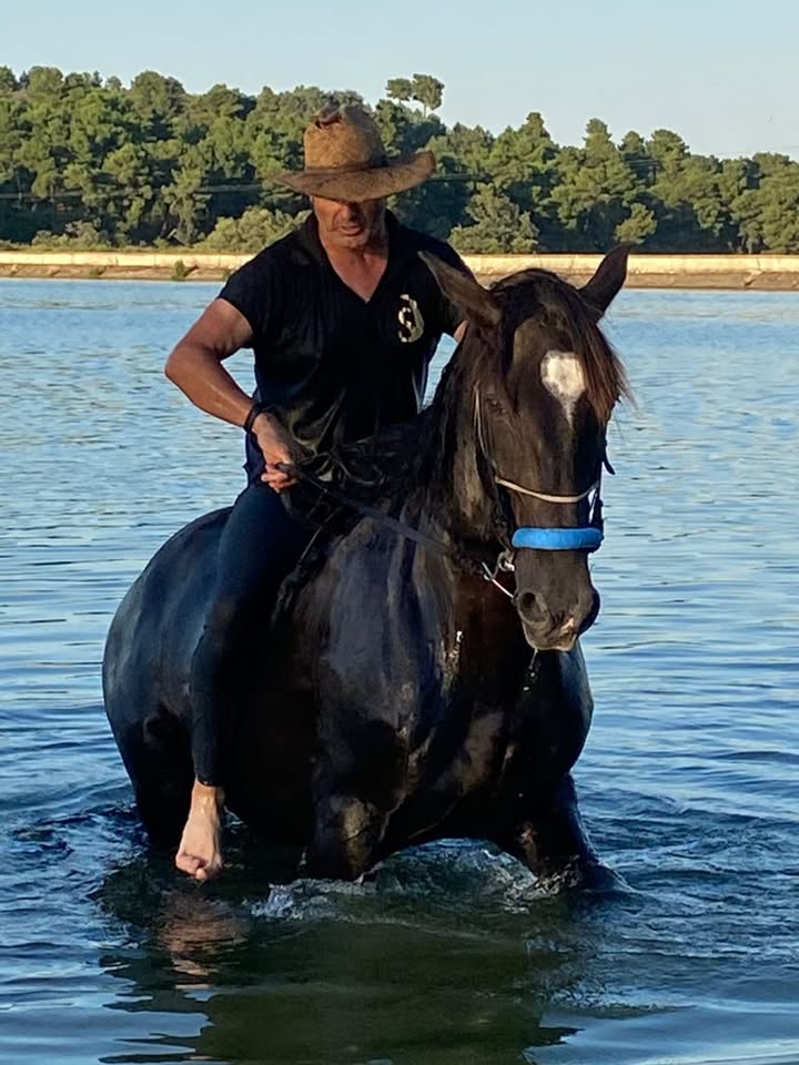 Centro ecuestre Ecupasil