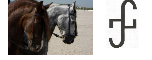 Centro hipico Las Dos Jotas