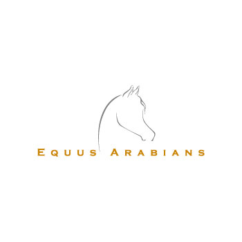 Equus Arabians Spain