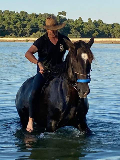 Centro ecuestre Ecupasil