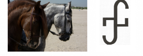 Centro hipico Las Dos Jotas