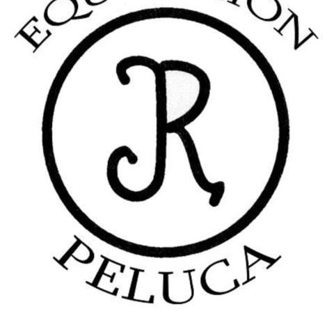 Equitacion Peluca