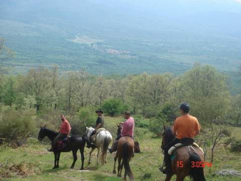 Caballos del Valle