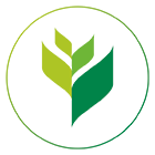 Green Seguros